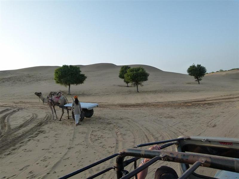 Rajasthan 2011-09-21 17-51-15 (P1040029) (Large).JPG